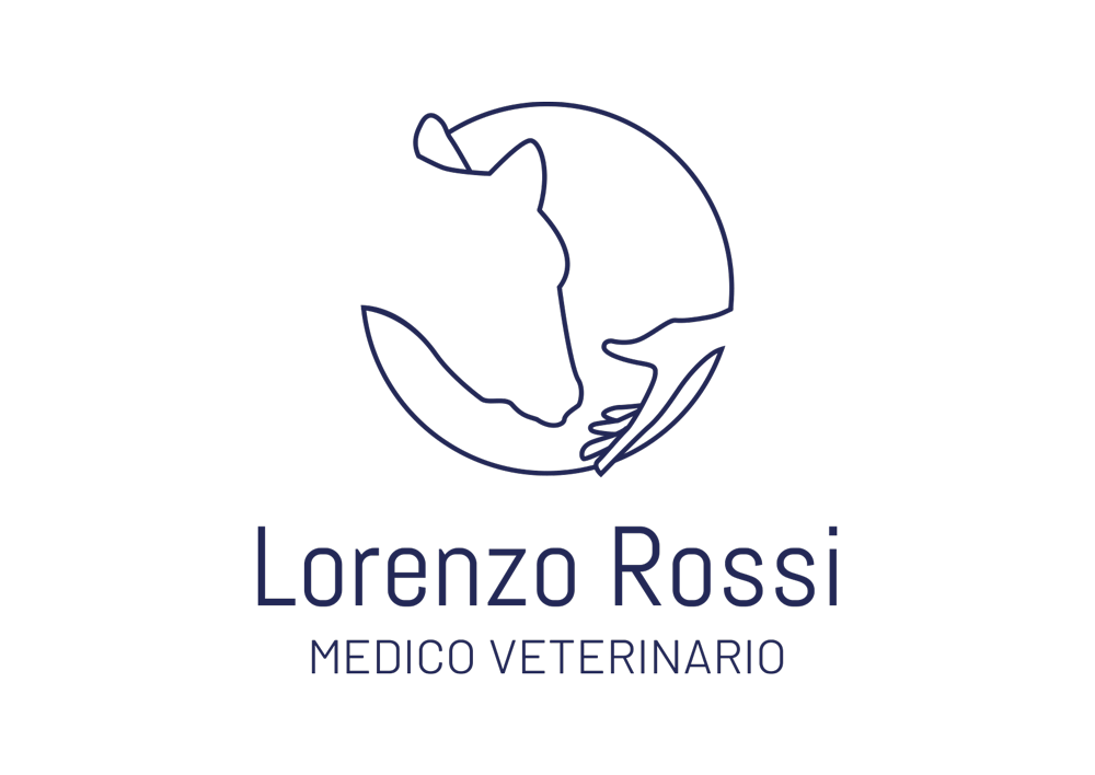 lorenzo-rossi-logo